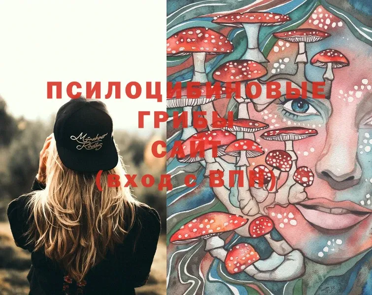 сколько стоит  OMG ТОР  Галлюциногенные грибы Cubensis  Кирсанов 